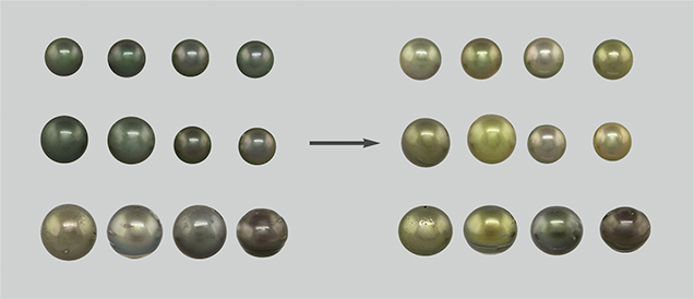 Bodycolors of 12 pistachio pearls before and after color treatment