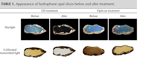 Appearance of hydrophane opal slices before and after treatment