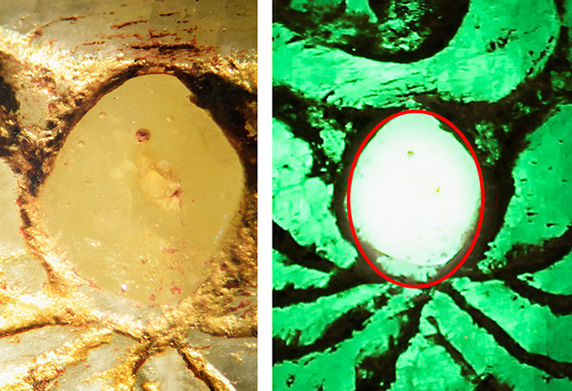 Bubbles and phosphorescence in cavity.