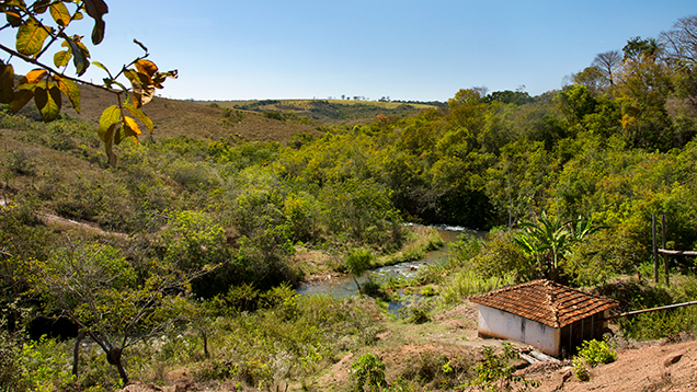 The Bagagem River in the Coromandel diamond mining region