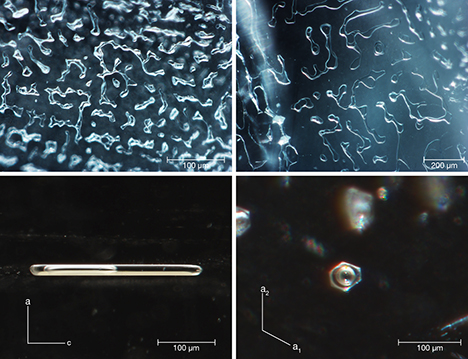 Multiphase inclusions in aquamarines from Shigar Valley.