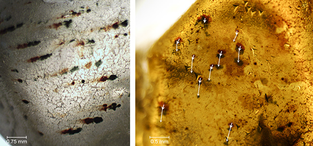 Brown and green spots of the same size and shape, but shifted in position, strongly suggests multiple stages of radiation exposure, heating, and movement of the diamond relative to the radioactive minerals.