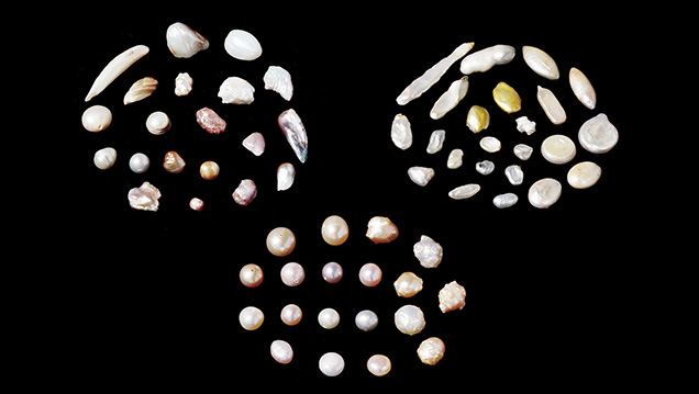 Freshwater pearl samples