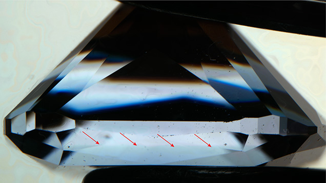 Immersion photo showing CVD layer