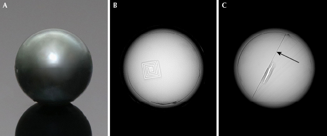 RTX examination of specimen with RFID chip embedded