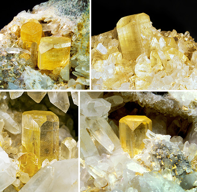 Four specimens of vivid “wine yellow” topaz with quartz from the Schneckenstein crag.