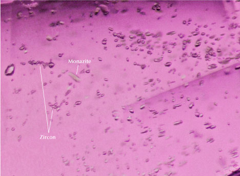 Figure 2. A series of colorless zircon inclusions and orange-brown monazite inclusions in the heated purplish pink sapphire. Photomicrograph by Ugo Hennebois; field of view 1.5 mm.