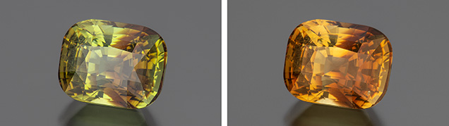 Figure 6. An unusual 6.95 ct cushion-cut bicolor alexandrite from Madagascar displaying a color change from yellowish green and reddish brown in daylight (left) to yellowish orange and orangy brown in incandescent illumination (right). Photos by Robert Weldon; courtesy of Bryan Lichtenstein, 3090 Gems, LLC.