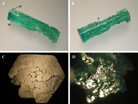 Figure 7. Sample 4 (31.1 mm in length), a columnar emerald that has been heavily corroded by natural etching. One end of the crystal (A, upper left) still shows natural crystal faces, while the rest of the sample shows completely dissolved <em>m</em> prism faces (A and B) and highly reflective but still undissolved smaller <em>a</em> prisms (B). At one end, the basal face is only slightly corroded (C), while the basal face at the other end of the crystal is heavily corroded (D). Photos by K. Schmetzer; field of view 9.5 mm (C and D).