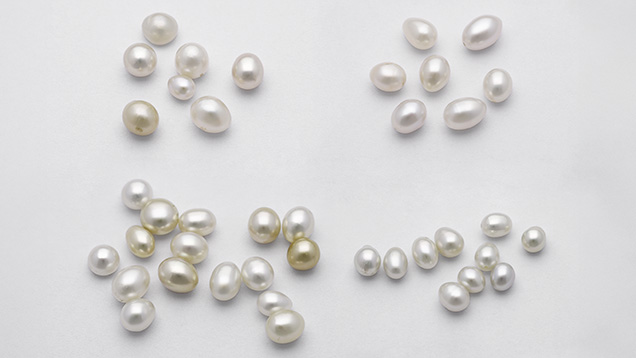 Lot of 40 drop and oval pearls, with the smallest weighing 0.62 ct and measuring 5.17 &times; 4.16 mm and the largest weighing 2.95 ct and measuring 9.53 &times; 6.65 mm. Photo by Gaurav Bera.