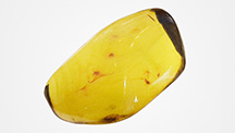 Figure 1. This clean piece of tumbled green amber from Ethiopia, measuring approximately 5.5&ndash;6.0 &times; 2.8&ndash;3.5 cm, displays flow structures and some inclusions. Photo by Cristiano Brigida; courtesy of Rainbow King Solomon Mines.