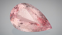 Figure 1. The 236.27 ct pear-shaped untreated morganite from old Madagascar stock was designed by Prakash Chand Vijay, who also oversaw the cutting. Photo by Robert Weldon. Courtesy of Blue Star Gems.