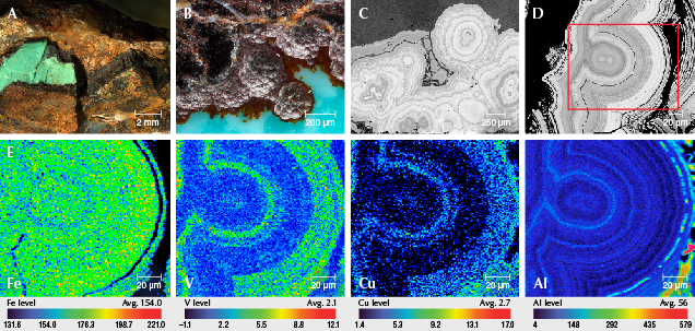 Figure 12. A: Goethite with 0.232–1.383 mm thickness. B: Oolite-like goethite. C: Goethite with concentric layers. D: Goethite showed distinct oscillatory zonings in BSE images. E: EPMA element mapping revealed variations in iron, vanadium, copper, and aluminum contents. Images by Ling Liu.