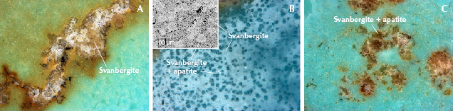 Figure 16. A: Beige svanbergite associated with quartz and turquoise. B: Deep blue spots (a mixture of svanbergite and apatite) unevenly distributed in svanbergite (BSE image inset). C: Irregular yellowish green fragments (also a mixture of svanbergite and apatite) surrounded by turquoise. Photomicrographs by Ling Liu; fields of view 2.8 mm (A and C) and 2.7 mm (B).