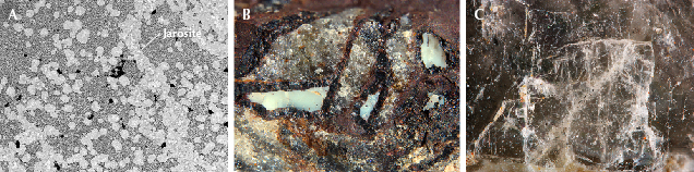 Figure 17. A: Jarosite has the brightest gray value in this BSE image. B: Bonattite with a milky appearance filling in the fissures and wedge-shaped cavities of goethite. C: Muscovite with perfect cleavage, found in the matrix of rough samples. Photomicrographs by Ling Liu; fields of view 1.2 mm (A), 5.9 mm (B), and 1.1 mm (C).