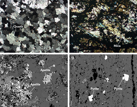 Figure 19. Minerals in the quartzite and black shale of Tianhu East. A: Quartz observed using a polarizing microscope with plane polarized light. B: Mica observed using a polarizing microscope with perpendicular polarized light. C and D: EPMA-BSE imaging reveals apatite (C) and cubic pyrite (D). Photomicrographs by Ling Liu; fields of view 2.1 mm (A), 1.0 mm (B and C), and 1.8 mm (D).