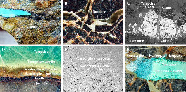 Figure 20. A: Turquoise filling in goethite showed later formation. B: Bonattite formed in a goethite fissure. C: Apatite grew along the fissures of goethite, revealed in EPMA-BSE images. D: The crystallization sequence of goethite, apatite, svanbergite, turquoise, and their mixtures hosted in quartzite. E: EPMA-BSE image showing mottled aggregates of the mixed svanbergite, apatite, and turquoise dispersed in the mixture of svanbergite and turquoise. F: Coexisting svanbergite, apatite, turquoise, and their mottled aggregates in a sample with a mineralogical transition zone. Photomicrographs by Ling Liu; fields of view 1.8 mm (B), 1.1 mm (C), 4.0 mm (D), 3.3 mm (E), and 18 mm (F).