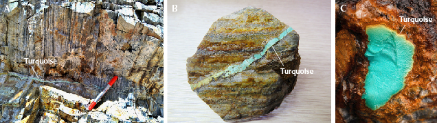 Figure 4. A: This turquoise vein is hosted within a quartzite matrix, illustrating the geological context of the mineral’s formation. B: One of the collected samples showcasing a turquoise vein; field of view 8 cm. C: A high-quality blue turquoise nodule surrounded by matrix; field of view 5 cm. Photos by Ling Liu.