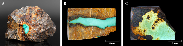 Figure 7. Turquoise collected from the Tianhu East mines. A: A blue turquoise-in-matrix hand specimen (1163.1 g total). B and C: Greenish blue (3.11 g) and yellowish green (4.65 g) turquoise samples investigated in this research. The matrix consists of quartzite with limonization. Photos by Ling Liu and Qiaoqiao Li.