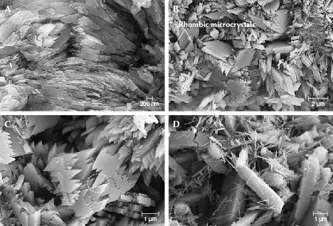 Figure 9. Various microstructures of Tianhu East turquoise observed using FESEM. A: Platy microcrystals arranged in parallel. B: Rhombic microcrystals with different sizes. C: A rhomboidal shape with jagged edges. D: Tiny columnar microcrystals attached to larger columnar ones.