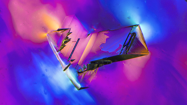 Figure 2. Polarized light shows an elongated modified diamond octahedron displaying various degrees of interfacing with the host diamond crystal. Photomicrograph by Nathan Renfro; field of view 2.18 mm.