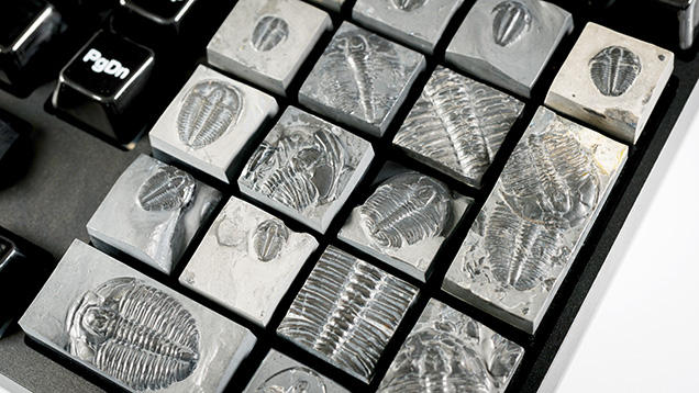 Figure 4. Set of one-of-a-kind trilobite fossil keycaps. Courtesy of Carter Stay, Keycap Quarry.