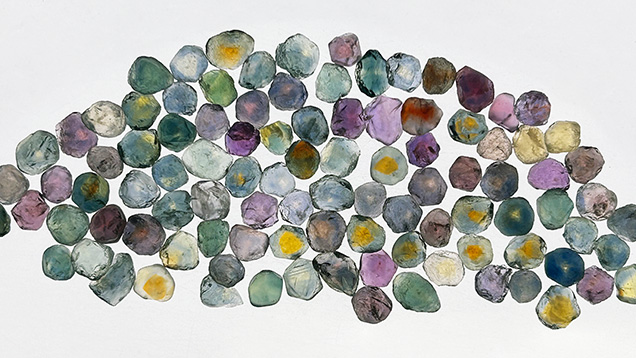 Figure 2. An assortment of rough sapphires (5–10 mm in diameter) extracted from the new mining area displaying characteristics typical of stones from the Rock Creek deposit, including many with a yellow “yolk” at the center. Courtesy of Potentate Mining.