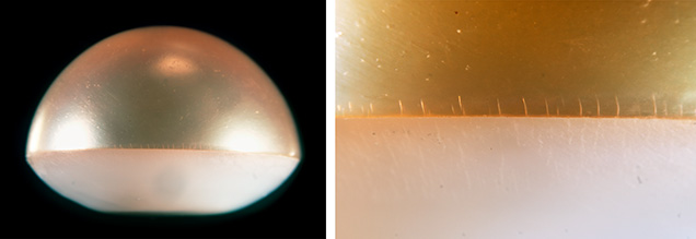 Figure 2. Left: Side view of assembled freshwater bead cultured half-pearl showcasing the nacre dome top and shell backing. Right: Vertical fractures on the pinkish orange half. Photomicrographs by Kendra Carty; fields of view 16.57 mm (left) and 4.47 mm (right).