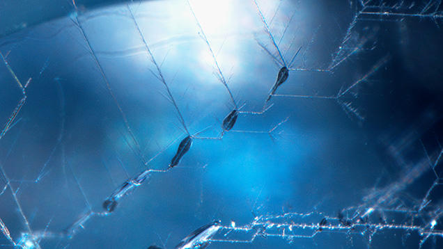 Figure 2. Hollow channels form unique patterns resembling a lightning strike in the 1.78 ct jeremejevite. Photomicrograph by Makoto Miura; field of view 1.06 mm.