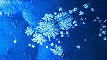 Group of aragonite snowflake inclusions in opal likely from Ethiopia. Photomicrograph by Narint Jaisanit; field of view 1.80 mm.