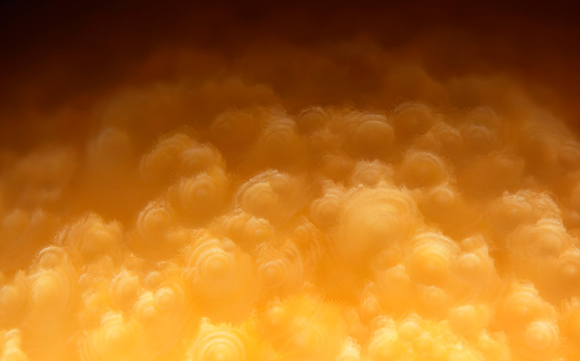 The spirals on the pearl display a scale-like pattern with short flames on the rim of each scale. Photomicrograph by Ravenya Atchalak; field of view 4.67 mm.