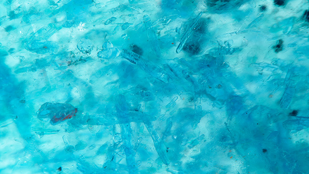 A chaotic assortment of crystal inclusions comprises the busy interior of this quartz. Photomicrograph by Jeffrey Hernandez; field of view 3.57 mm.