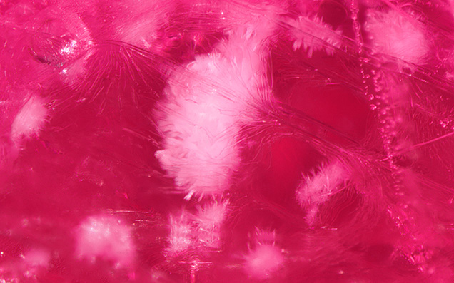 Devitrified glass inclusions resembling pom-poms or sea urchins in a clarity-enhanced ruby. Photomicrograph by Kevin Bishop and Joseph Hukins; field of view 1.99 mm.