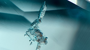 Prismatic colorless lepidolite crystal in a copper-bearing tourmaline. Photomicrograph by Virginia Schneider; field of view 1.58 mm.