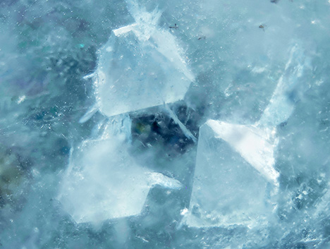 Figure 2. Close-up of three fluorite crystals in aquamarine. Photomicrograph by Harold Moritz; field of view 15 mm.