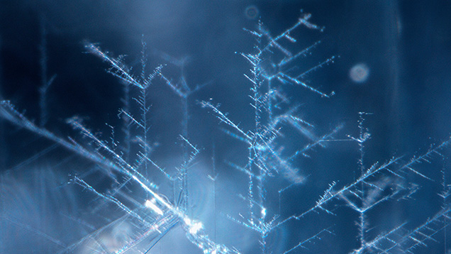 Figure 1. Unique hollow channels resembling rime ice in a 1.78 ct jeremejevite. The vertical direction of this photo corresponds to the c-axis of the stone. Photomicrograph by Makoto Miura; field of view 1.48 mm.