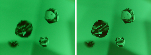 A polarizing filter placed between the objective lens and the subject, which eliminates image doubling in this tourmaline.