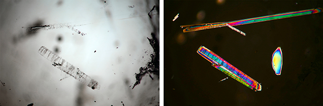 Amphibole inclusions in rock crystal quartz, observed in transmitted light and polarized light.