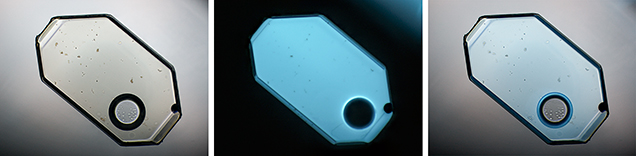 A tabular negative crystal in quartz photographed with diffuse transmitted light, long-wave ultraviolet light, and a combination of visible and long-wave UV light.