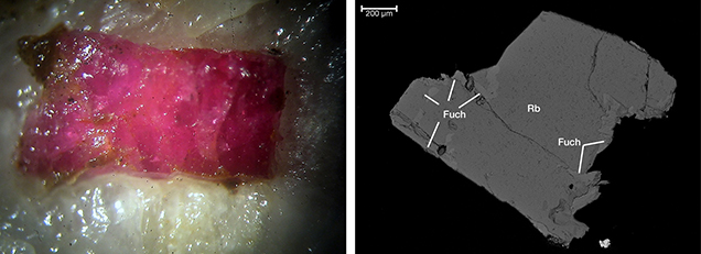 A photomicrograph of a ruby and green fuchsite intergrowth and a backscattered electron image of solid fuchsite inclusions in ruby, both from Snezhnoe, Tajikistan
