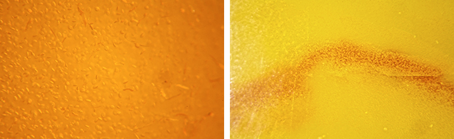 Signs of dyeing in amber.