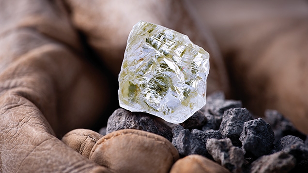 The 187.7 ct Diavik Foxfire diamond