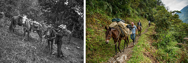 Transportation to Chivor by horse and mule