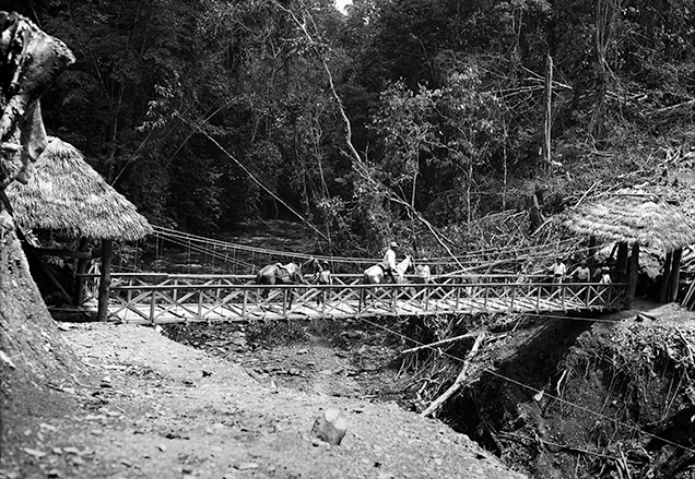 Hanging bridge built by Peter Rainier