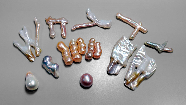 Lake Biwa pearls with unusual color and shape