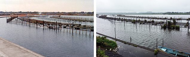 Location of the Toda Pearl farm at the Onogawa River near Lake Kasumigaura