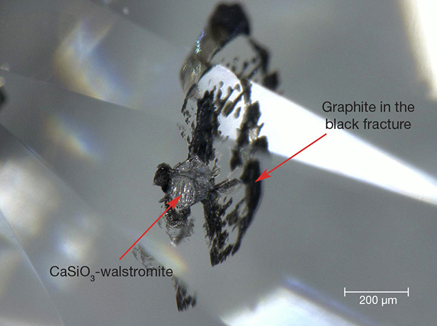 Walstromite inclusion with fan-shaped black fractures.