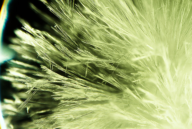 Close-up view of the wollastonite crystals.