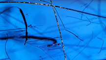 Merelaniite whisker inclusions in tanzanite.