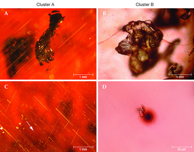 Characteristic inclusions in Ca-poor almandines from Merovingian jewelry